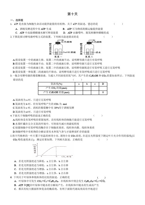 安徽省六安市2016年高一生物暑假作业第十天