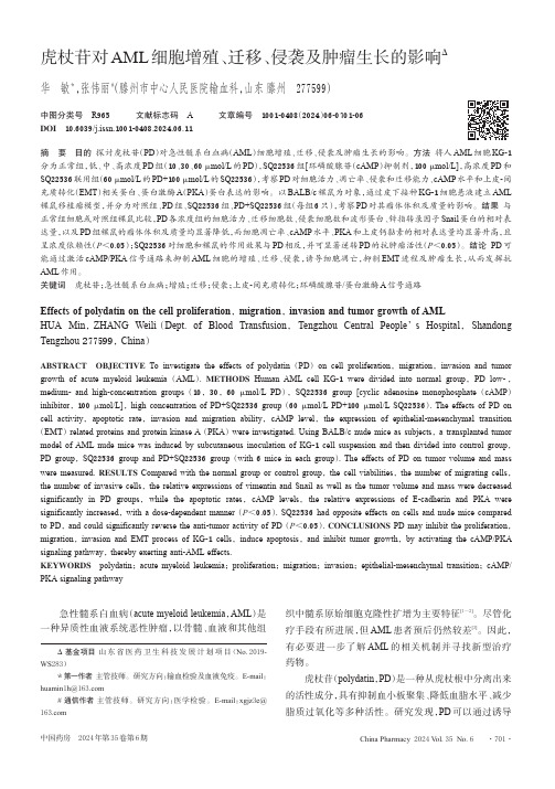 虎杖苷对AML细胞增殖、迁移、侵袭及肿瘤生长的影响