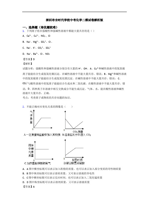 深圳布吉时代学校中考化学二模试卷解析版