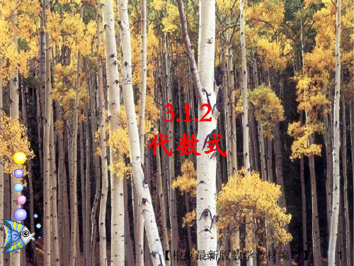华东师大版数学七年级上册2.代数式PPT