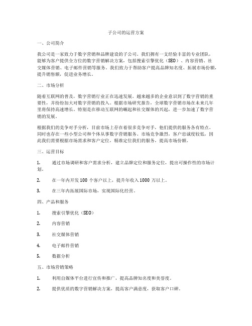 子公司的运营方案