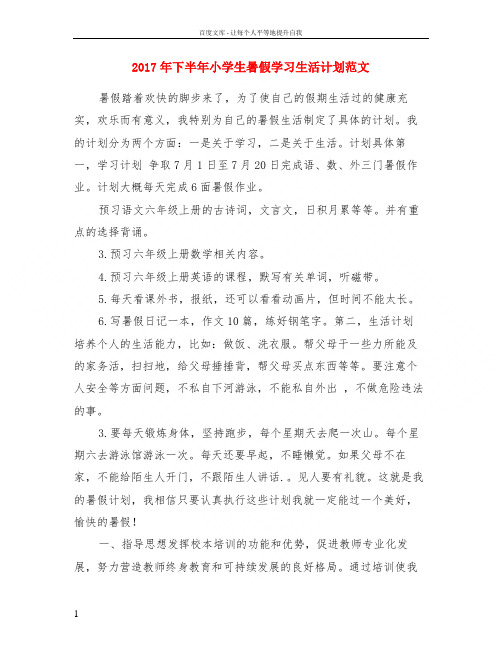 2017年下半年小学生暑假学习生活计划范文