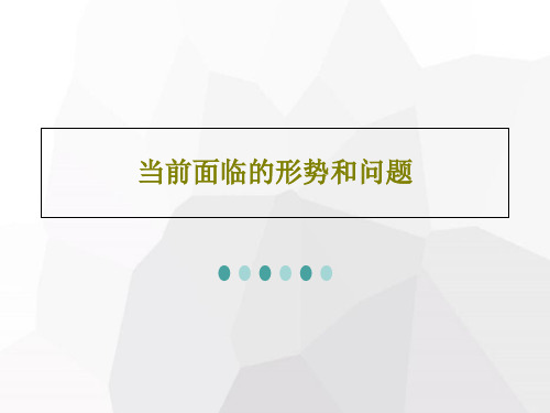 当前面临的形势和问题26页PPT