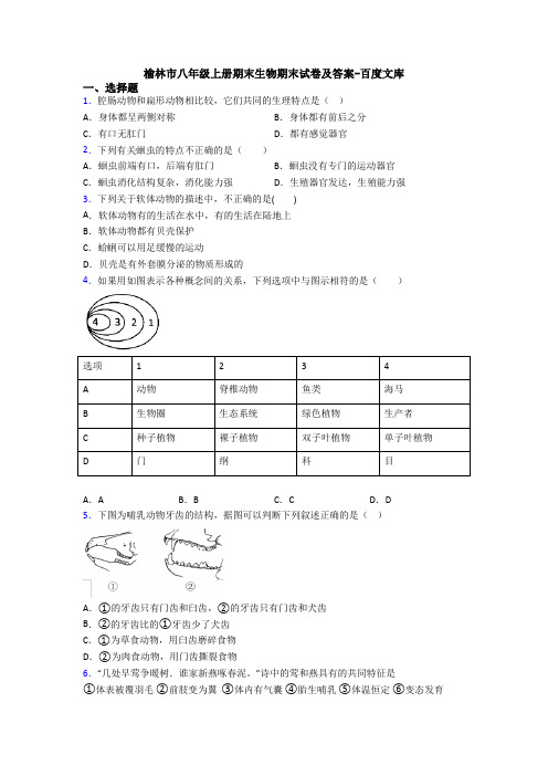 榆林市八年级上册期末生物期末试卷及答案-百度文库