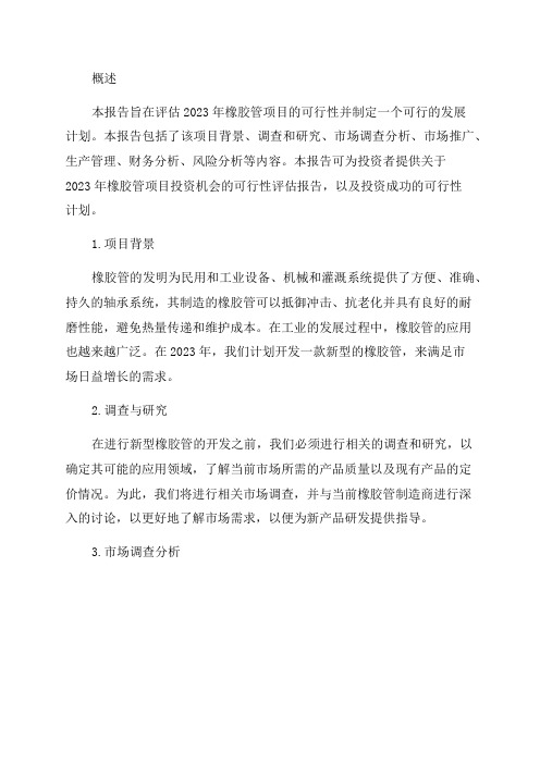 2024年胶管项目可行性计划