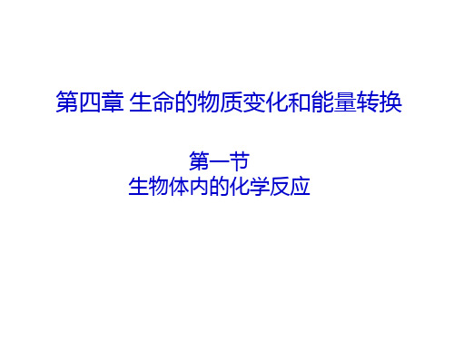 高一生物生物体内的化学反应PPT课件