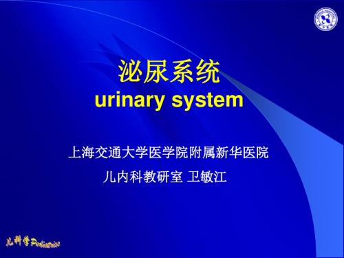 泌尿系统