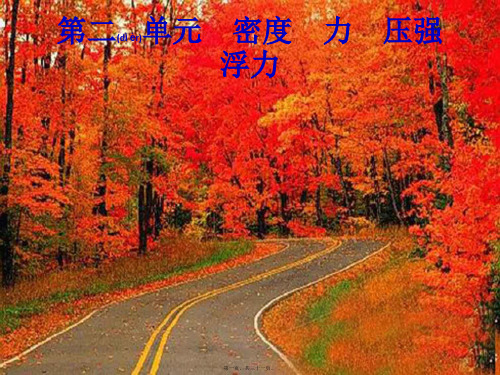 中考物理总复习优化设计第一板块教材知识梳理第二单元密度力压强浮力第6课时质量与密度