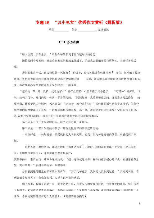 专题15  “以小见大”优秀作文赏析(解析版)