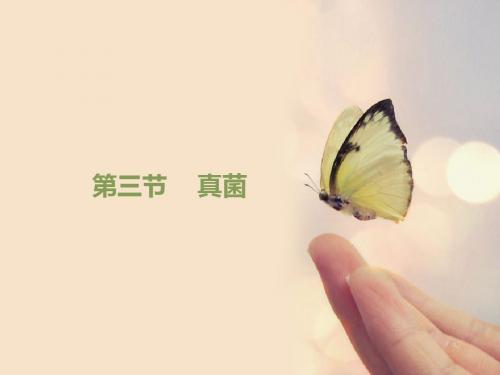 2016人教版八年级生物上册5.4.3《真菌》课件 (共31张PPT)