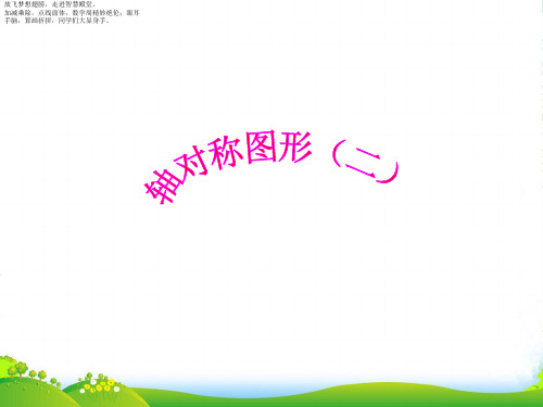 北师大版三年级下册数学课件 轴对称(二)2 (共9张PPT)