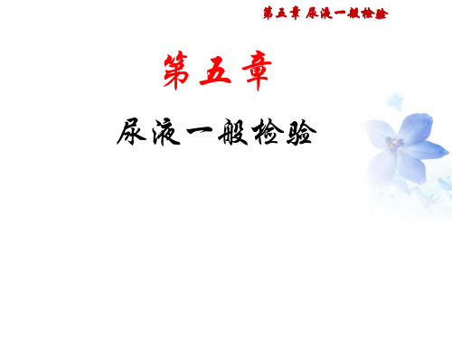 11 尿液显微镜检查