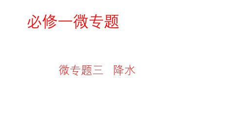 二轮复习  微专题   降水(共19张PPT)