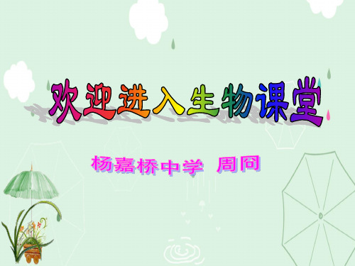 没有细胞结构的微小生物——病毒PPT课件16 人教版