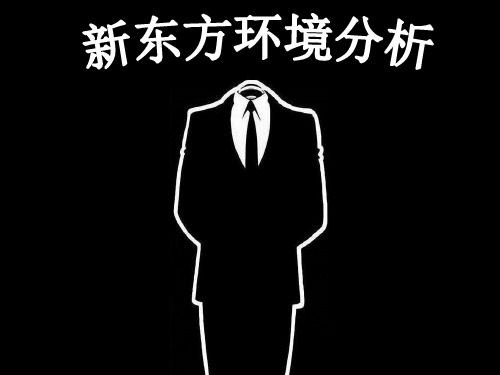 新东方环境分析