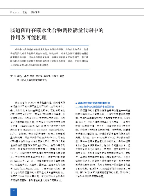 肠道菌群在碳水化合物调控能量代谢中的作用及可能机理