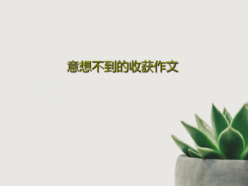 意想不到的收获作文24页PPT