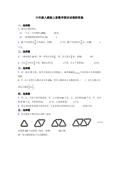 湖北省武汉市武汉小学人教版六年级上册数学期末试卷测试题