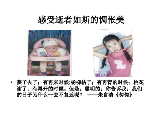 高二语文草莓课件