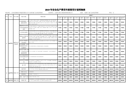 2019年度安全生产费用计划表明细