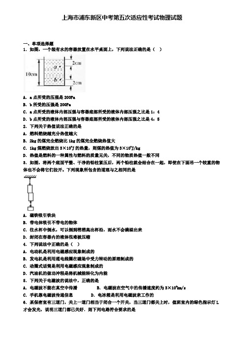 上海市浦东新区中考第五次适应性考试物理试题