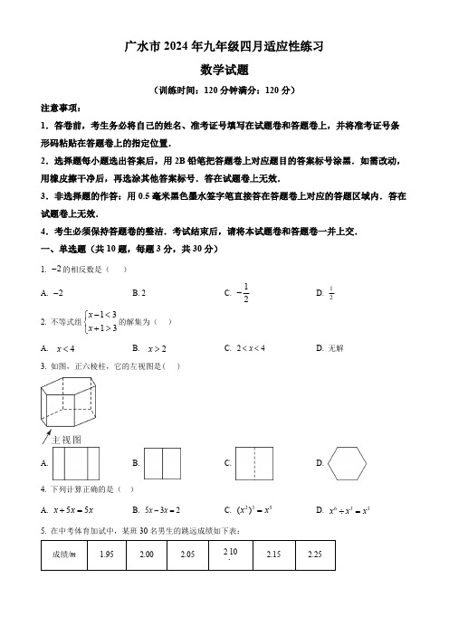 2024年湖北省广水市中考二模数学试题(原卷版)