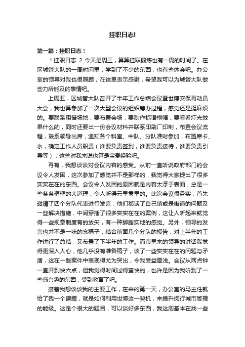 挂职日志!