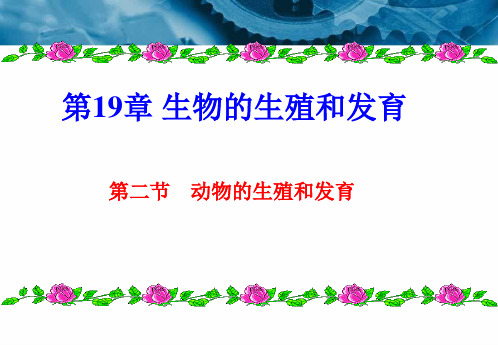 生物北师大版八年级上19-2动物的生殖和发育课件(25张)