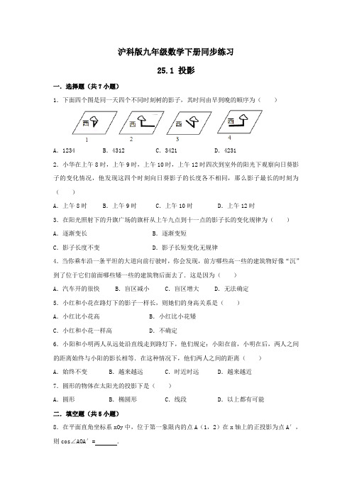沪科版九年级数学下册同步练习 25.1 投影 含答案