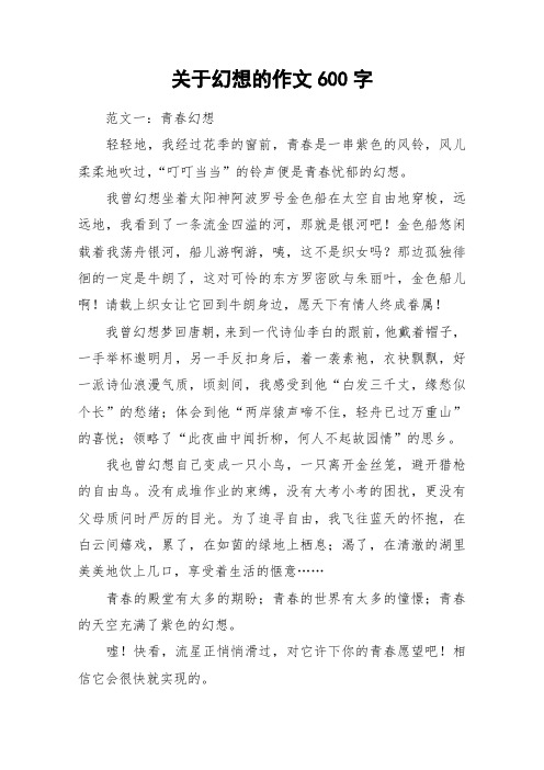 关于幻想的作文600字_作文