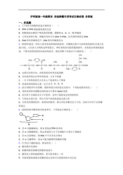 沪科版高一年级期末 非选择题专项考试生物试卷 含答案