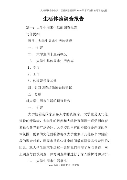 生活体验调查报告