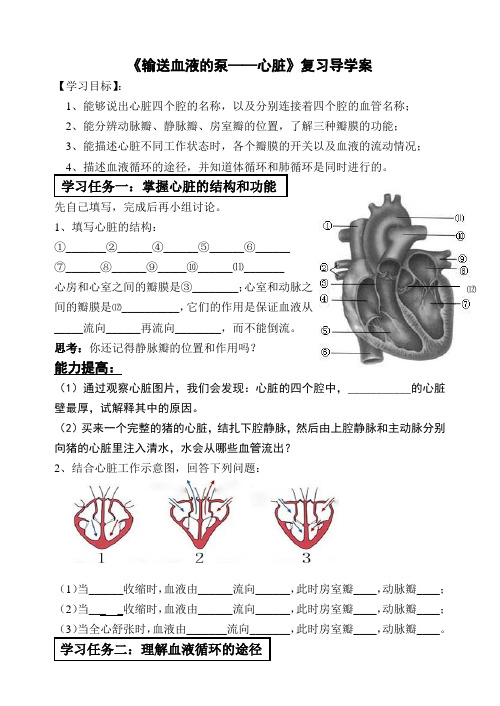 心脏复习导学案