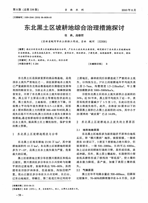 东北黑土区坡耕地综合治理措施探讨
