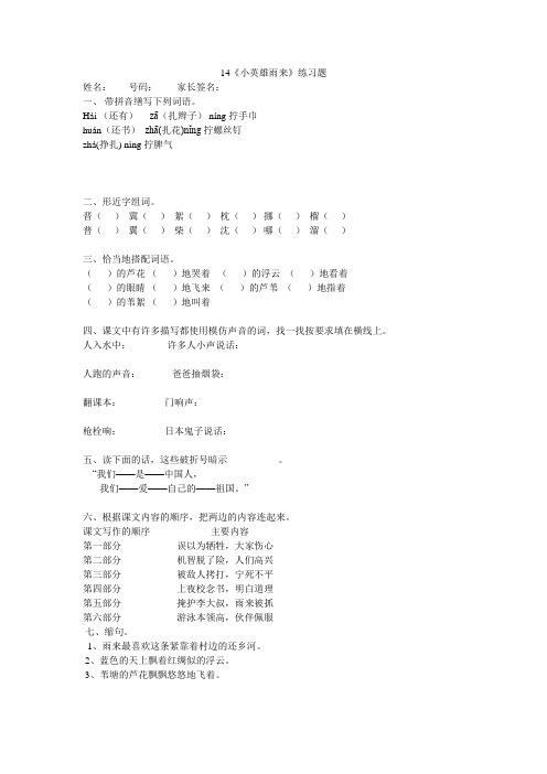 小英雄雨来练习题(有答案)
