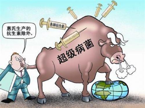 孙宏——超级细菌ppt
