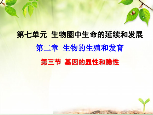 初中生物八年级下册《2.3第三节 基因的显性和隐性》优质课件(两套)