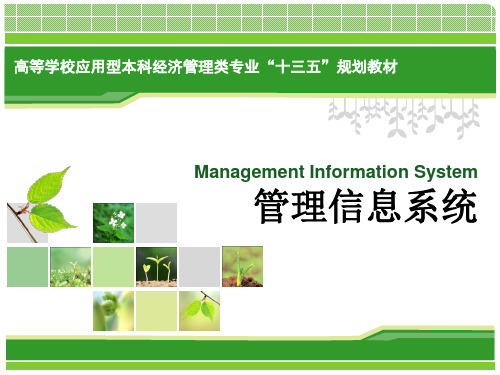 第3章 管理信息系统的战略规划