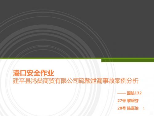 港口安全管理作业ppt课件