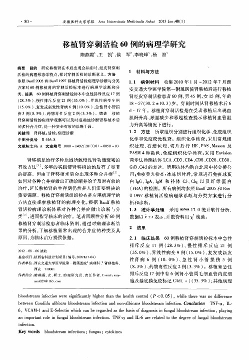 移植肾穿刺活检60例的病理学研究