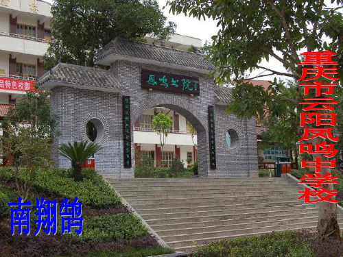 省略号书名号·南翔鹄