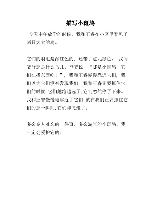 描写小斑鸠