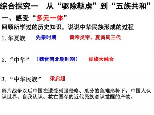综合探究一：从“驱除鞑虏”到“五族共和”