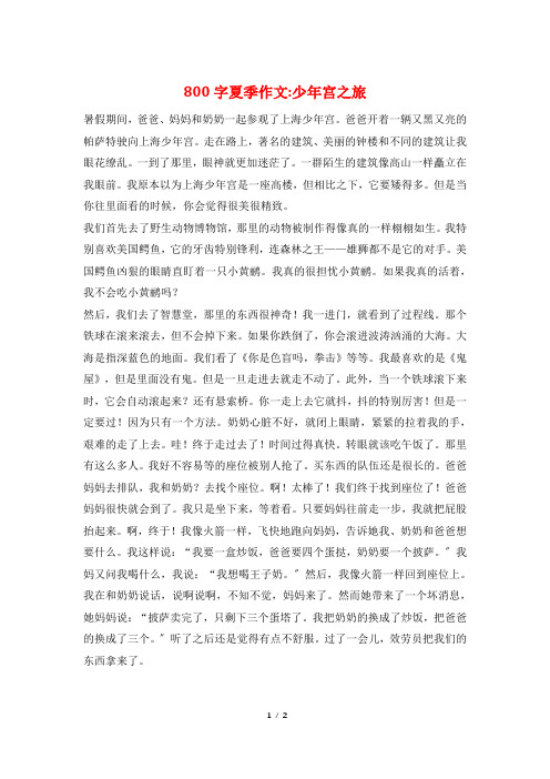 800字夏季作文-少年宫之旅