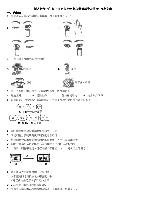 新人教版七年级上册期末生物期末模拟试卷及答案-百度文库