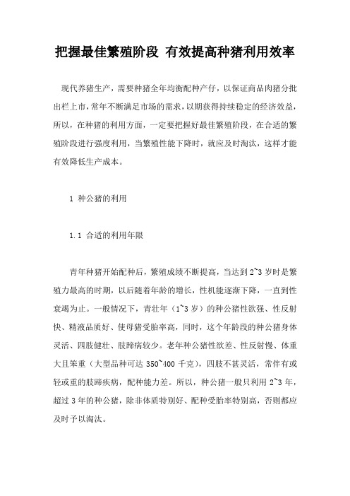 把握佳繁殖阶段 有效提高种猪利用效率