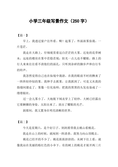 小学三年级写景作文(250字)