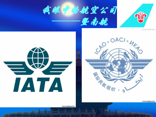 我眼中的航空公司
