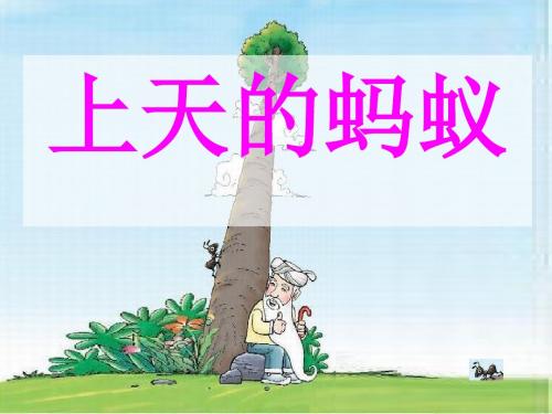 上天的蚂蚁