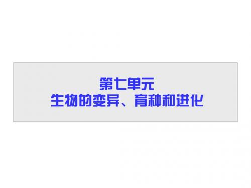 高三生物一轮总复习课件：第七单元第一讲生物的变异